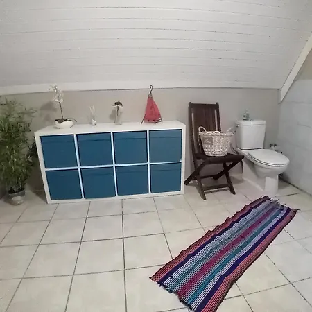 appartement spacieux dans joli village alsacien Châtenois Extérieur photo