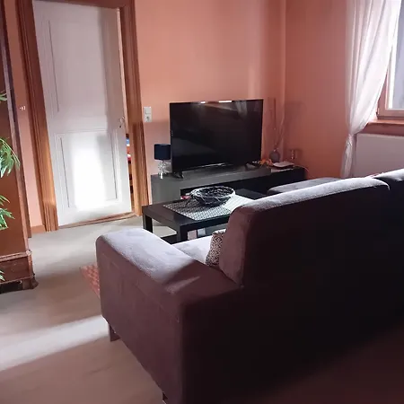 appartement spacieux dans joli village alsacien Châtenois Extérieur photo