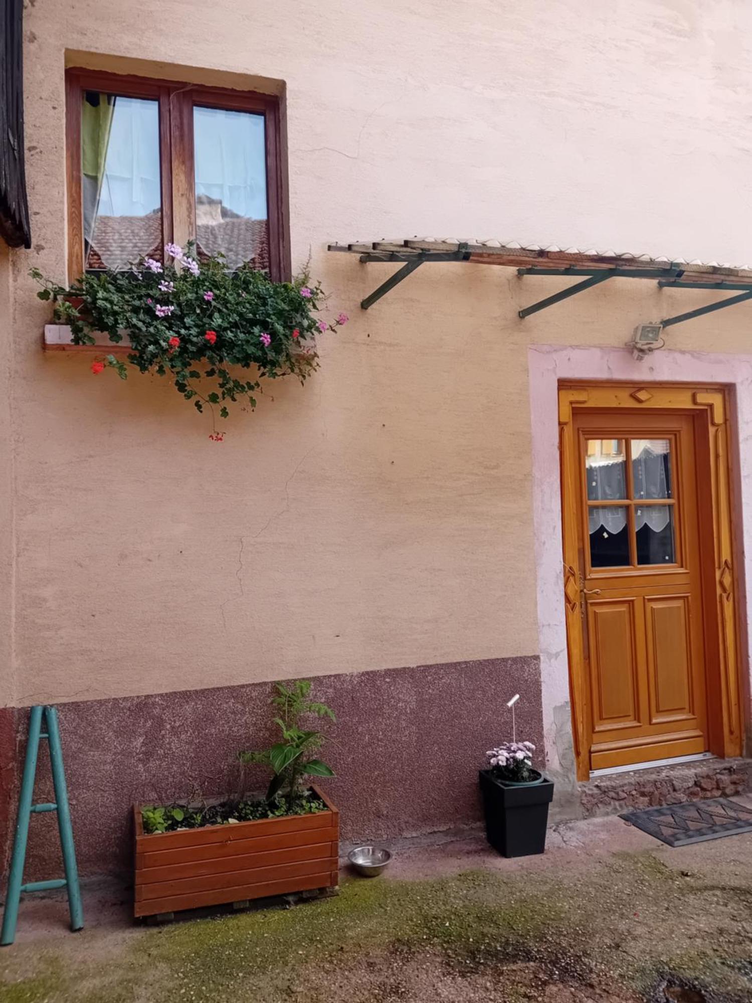 Apartment Spacieux Dans Joli Village Alsacien Châtenois