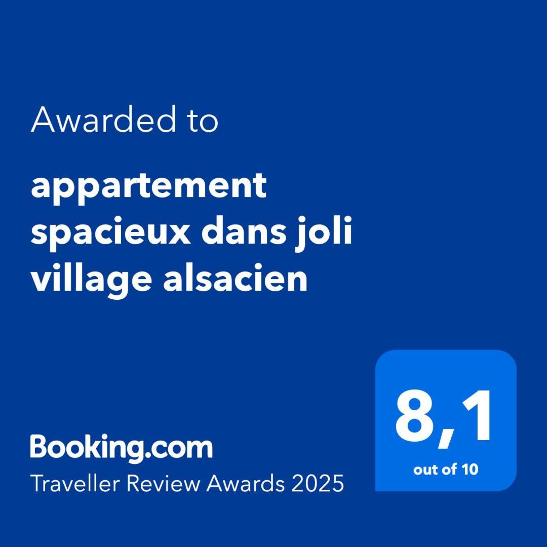 Spacieux Dans Joli Village Alsacien