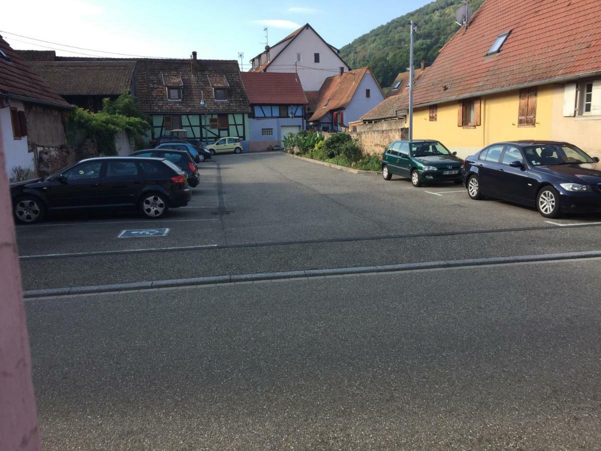 Apartment Spacieux Dans Joli Village Alsacien Châtenois